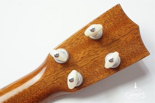 HK-PL 1st Anniversary